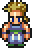 Character sprite when still.